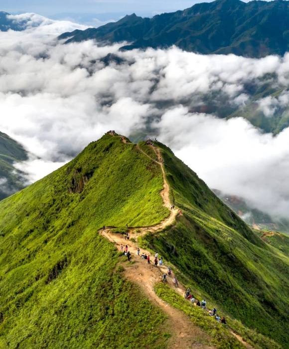 Scenery Travels