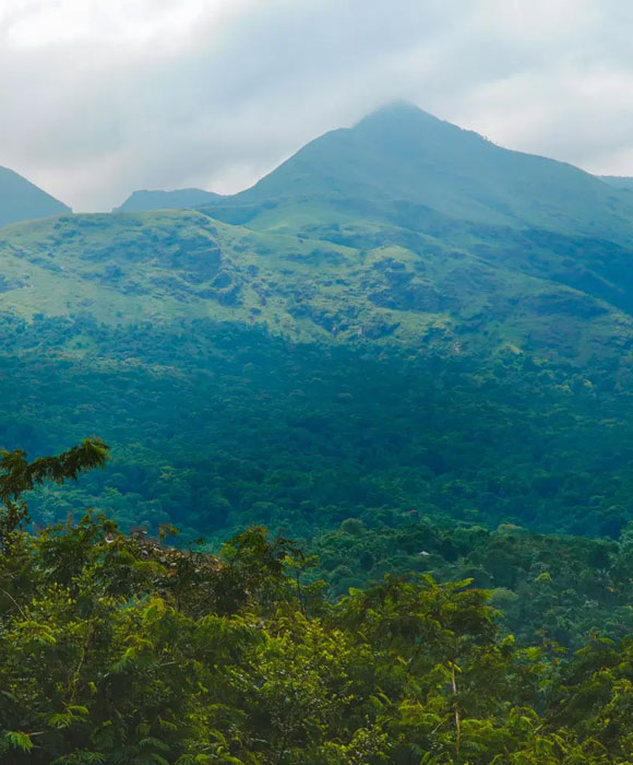 Scenery Travels